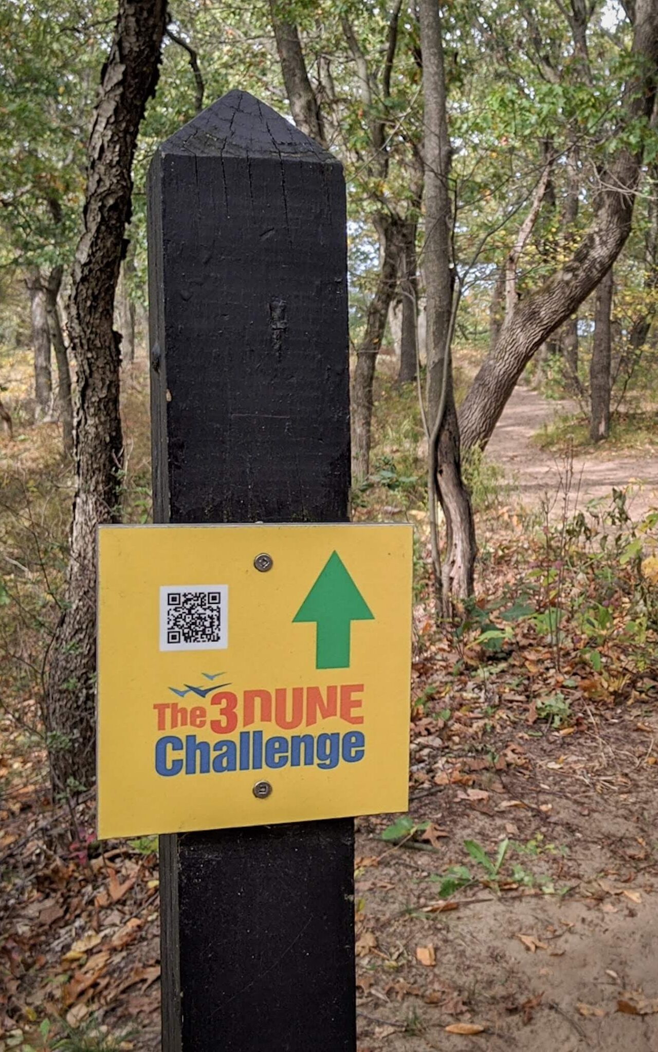 A trail marker that reads 3 dune challenge with a green arrow pointing the way