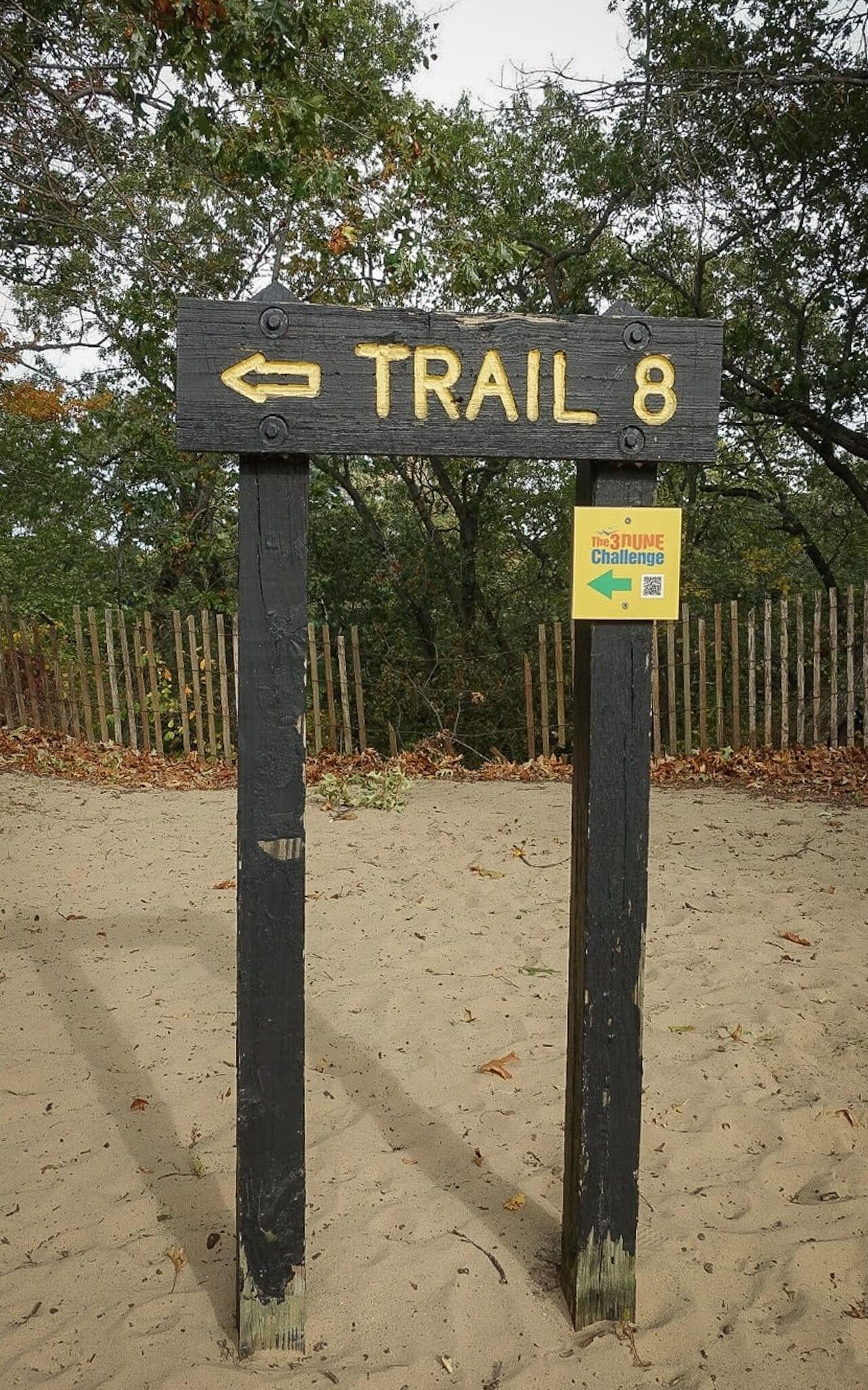 A trail marker that reads "Trail 8" and a yellow sign that says "the 3 Dune Challenge" with arrows pointing you in the right direction on the dune trail