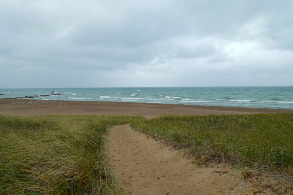 Tall green grass growing in the sand, bright blue waves in the background, cloudy rainy skies overhead