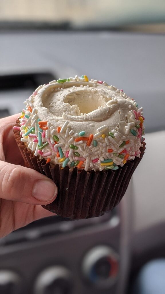 A vanilla cupcake with vanilla buttercream icing piled high on top of it then rolled in sprinkles - Designer Desserts - Things to do Near Indiana Dunes National Park
